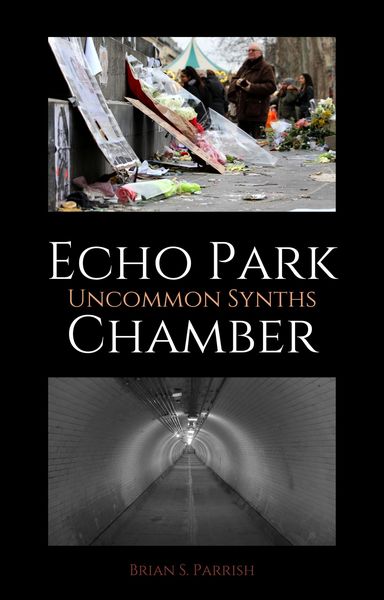 Produktbild: Echo Park Chamber: Uncommon Synths