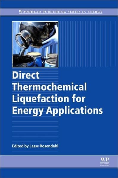 Produktbild: Direct Thermochemical Liquefaction for Energy Applications