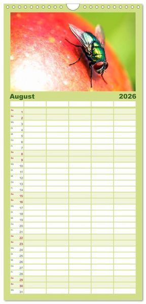 Produktbild: Familienplaner 2026 - INSEKTEN - Makrofotografie in freier Natur mit 5 Spalten (Wandkalender, 21 x 45 cm) CALVENDO