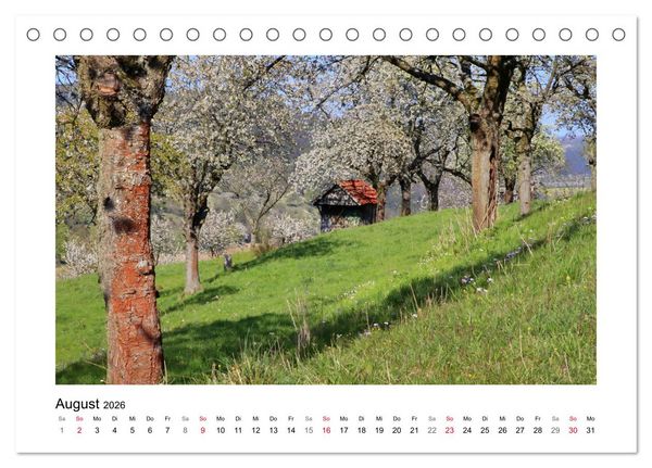 Produktbild: Kirschbl&uuml;te rund um Witzenhausen (Tischkalender 2026 DIN A5 quer), CALVENDO Monatskalender