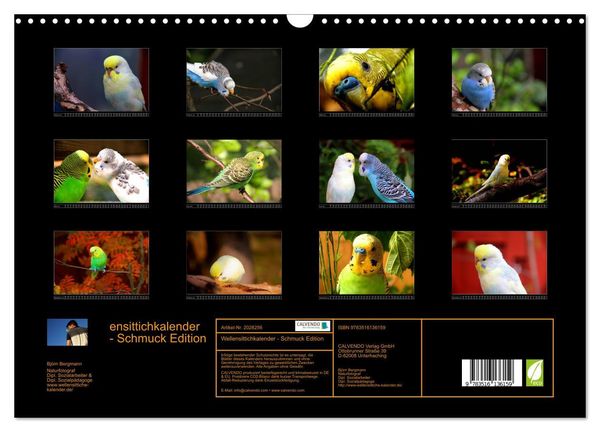 Produktbild: Wellensittichkalender - Schmuck Edition (Wandkalender 2026 DIN A3 quer), CALVENDO Monatskalender