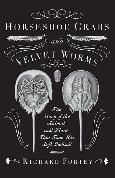 Produktbild: Horseshoe Crabs and Velvet Worms