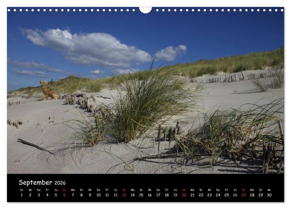 Produktbild: Sylt (Wandkalender 2026 DIN A3 quer), CALVENDO Monatskalender
