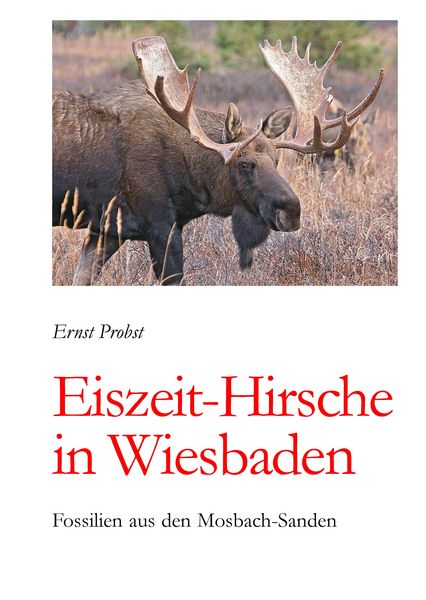 Produktbild: Eiszeit-Hirsche in Wiesbaden