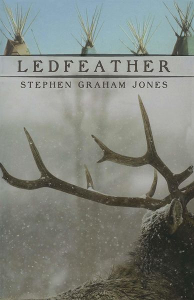 Produktbild: Ledfeather
