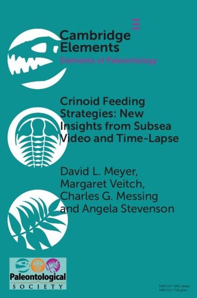 Produktbild: Crinoid Feeding Strategies: New Insights From Subsea Video And Time-Lapse