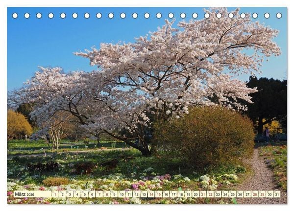 Produktbild: Der Hermannshof Das Parkjuwel in Weinheim an der Bergstra&szlig;e (Tischkalender 2026 DIN A5 quer), CALVENDO Monatskalender