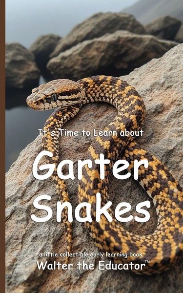 Produktbild: It's Time to Learn about Garter Snakes