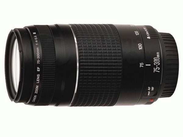Produktbild: Canon EF DC 4,0-5,6/75-300 III 6473A015 Zoom-Objektiv