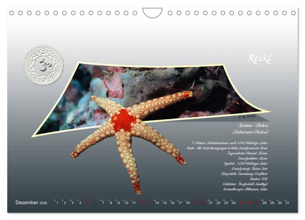 Produktbild: REIKI - Chakren und Lebensregeln (Wandkalender 2026 DIN A4 quer), CALVENDO Monatskalender