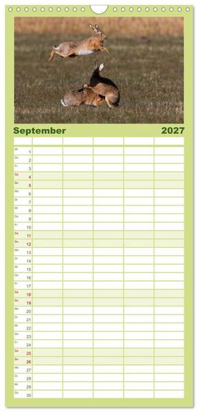 Produktbild: Familienplaner 2027 - Feldhasen in H&ouml;chstform mit 5 Spalten (Wandkalender, 21 x 45 cm) CALVENDO