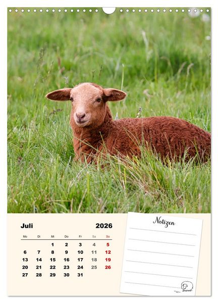 Produktbild: L&auml;mmergl&uuml;ck (Wandkalender 2026 DIN A3 hoch), CALVENDO Monatskalender