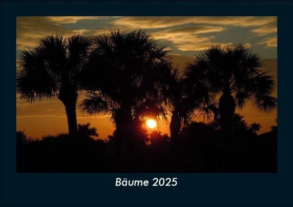 Produktbild: B&auml;ume 2025 Fotokalender DIN A5