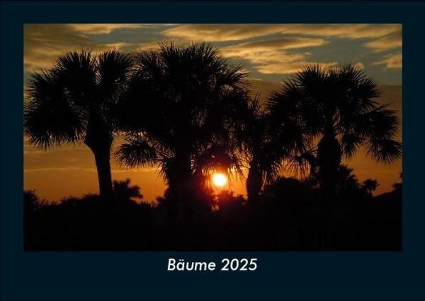 Produktbild: B&auml;ume 2025 Fotokalender DIN A5