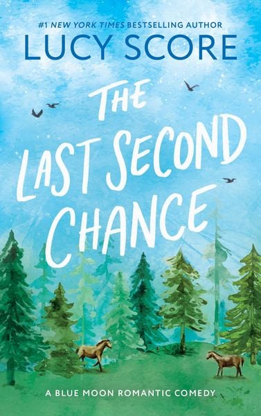 Produktbild: The Last Second Chance
