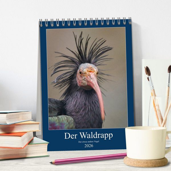 Produktbild: Der Waldrapp - Der etwas andere Vogel (Tischkalender 2026 DIN A5 hoch), CALVENDO Monatskalender