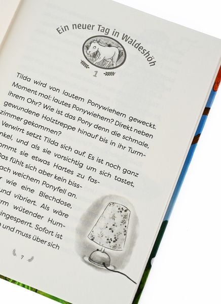Produktbild: Die Waldponys (Band 2) &ndash; Vier Hufe retten den Schulausflug