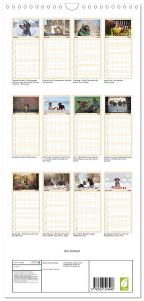 Produktbild: Familienplaner 2026 - Der Dackel mit 5 Spalten (Wandkalender, 21 x 45 cm) CALVENDO