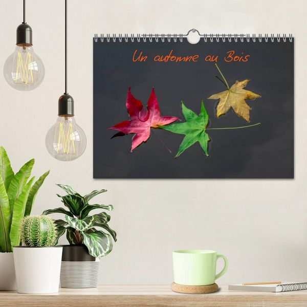 Produktbild: Un automne au Bois (Calendrier mural 2026 DIN A4 vertical), CALVENDO calendrier mensuel