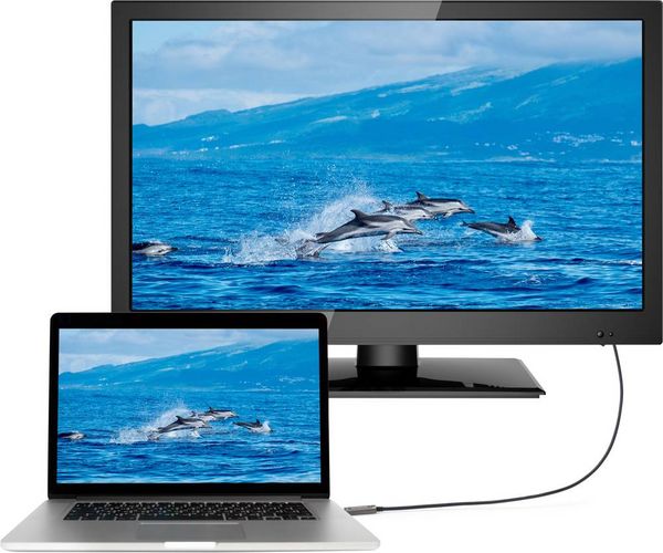 Produktbild: SpeaKa Professional USB-C&reg; Anschlusskabel USB-C&reg; Stecker, USB-C&reg; Stecker 10.00 m Schwarz SP-9505620 TPE-Mantel USB-C&reg;-Displaykabel