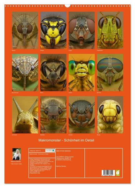 Produktbild: Makromonster - Sch&ouml;nheit im Detail (Wandkalender 2026 DIN A2 hoch), CALVENDO Monatskalender