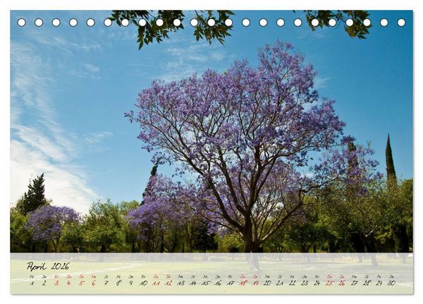 Produktbild: Mexiko - Bunte Vielfalt in Stadt und Land (Tischkalender 2026 DIN A5 quer), CALVENDO Monatskalender