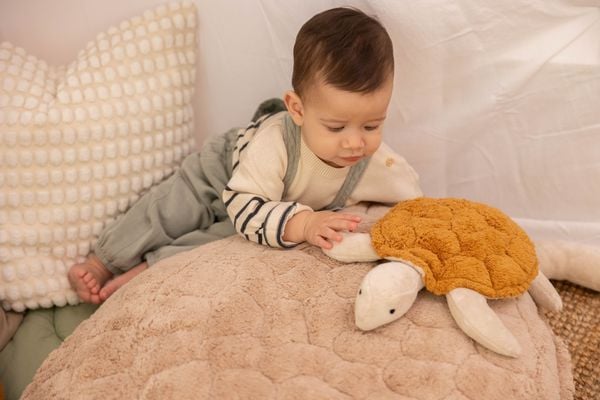 Produktbild: Kuscheltier Schildkr&ouml;te klein | messing