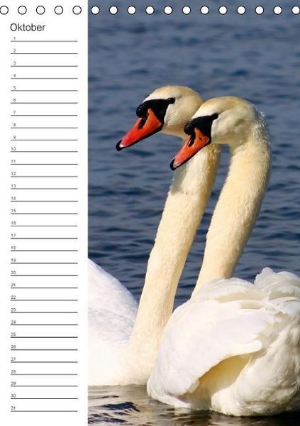 Produktbild: Malerisches Teufelsmoor (Tischkalender immerw&auml;hrend DIN A5 hoch)