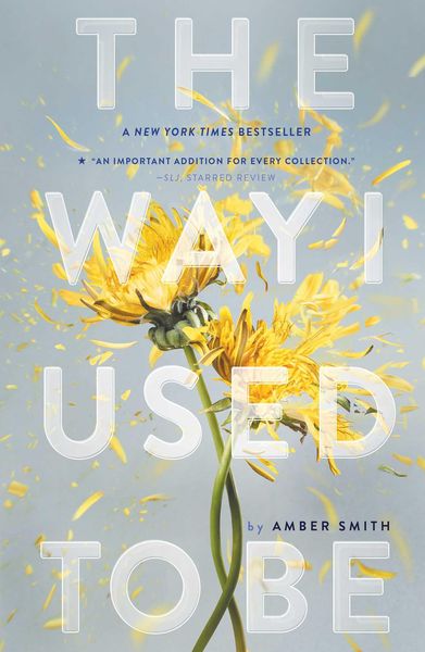 Produktbild: The Way I Used to Be