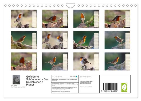Produktbild: Gefiederte Sch&ouml;nheiten - Das Rotkehlchen / Planer (Wandkalender 2026 DIN A4 quer), CALVENDO Monatskalender
