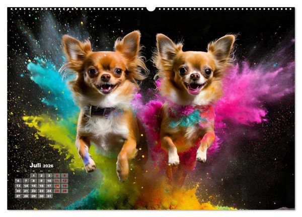 Produktbild: Holi Pulver - Doppelte Action (Wandkalender 2026 DIN A2 quer), CALVENDO Monatskalender