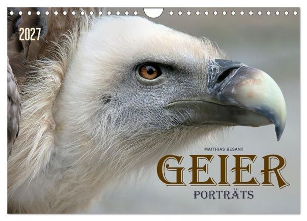 Produktbild: GEIERPORTR&Auml;TS (Wandkalender 2027 DIN A4 quer), CALVENDO Monatskalender