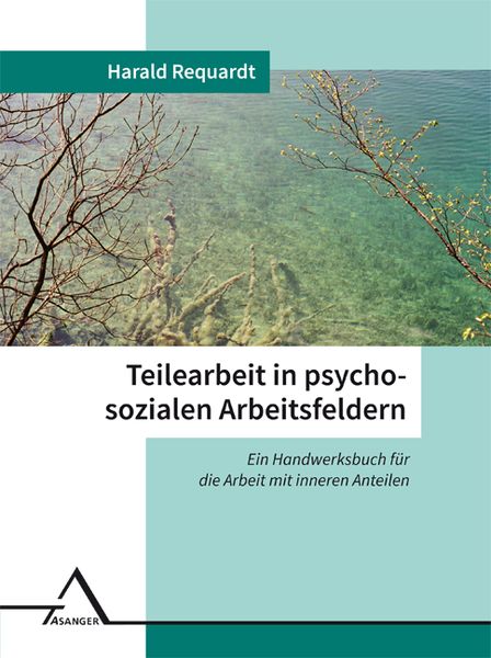 Produktbild: Teilearbeit in psychosozialen Arbeitsfeldern
