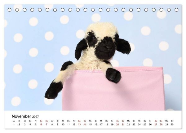 Produktbild: Walliser Schwarznasenschaf Valais Blacknose Sheep (Tischkalender 2027 DIN A5 quer), CALVENDO Monatskalender