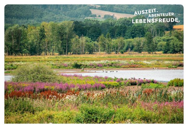 Produktbild: 52 kleine & gro&szlig;e Eskapaden Kassel und Nordhessen