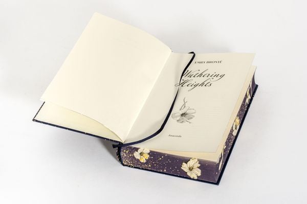 Produktbild: Bront&euml; - Wuthering Heights