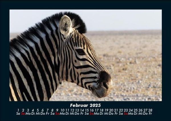 Produktbild: Zebrazauber 2025 Fotokalender DIN A5