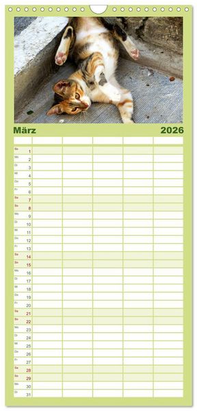 Produktbild: Familienplaner 2026 - SAMTPFOTEN "fellnah" mit 5 Spalten (Wandkalender, 21 x 45 cm) CALVENDO