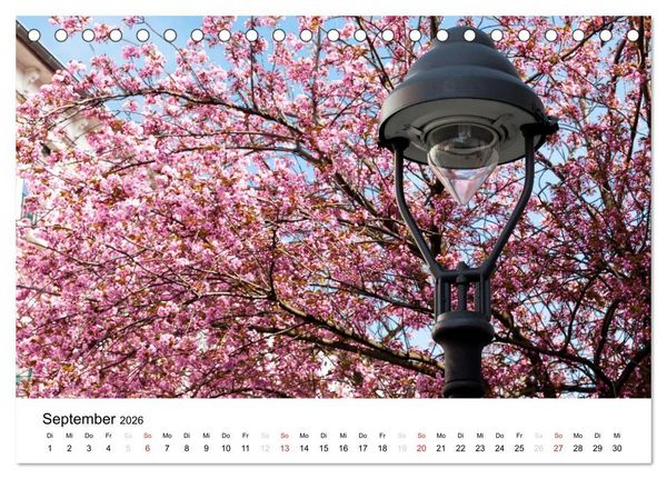 Produktbild: Bonn - Kirschbl&uuml;tenfest in der Altstadt (Tischkalender 2026 DIN A5 quer), CALVENDO Monatskalender