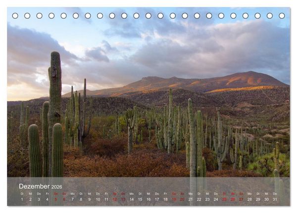 Produktbild: Bekanntes und Unbekanntes MEXIKO (Tischkalender 2026 DIN A5 quer), CALVENDO Monatskalender