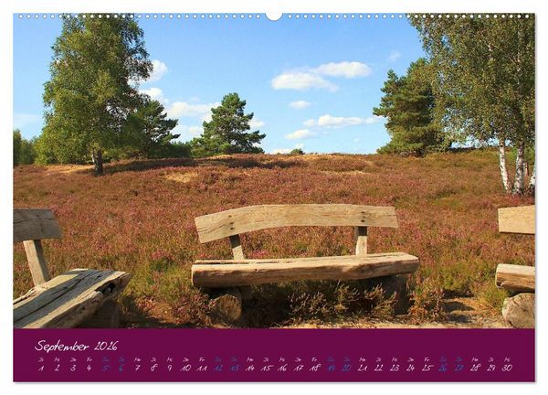Produktbild: Die Nemitzer Heide - Im Wendland unterwegs (Wandkalender 2026 DIN A2 quer), CALVENDO Monatskalender