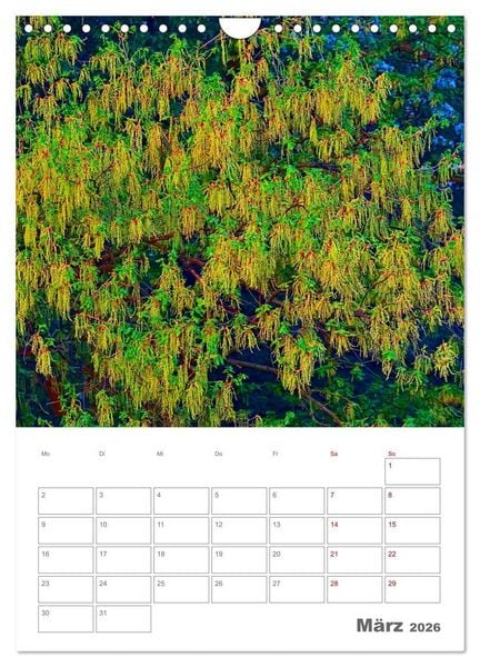 Produktbild: Planen mit dem Symbol der inneren St&auml;rke (Wandkalender 2026 DIN A4 hoch), CALVENDO Monatskalender