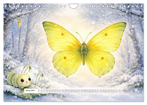 Produktbild: Vom Kriechen zum Fliegen (Wandkalender 2027 DIN A4 quer), CALVENDO Monatskalender