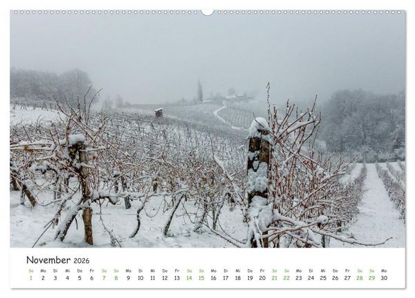 Produktbild: S&uuml;dsteiermark365 (hochwertiger Premium Wandkalender 2026 DIN A2 quer), Kunstdruck in Hochglanz