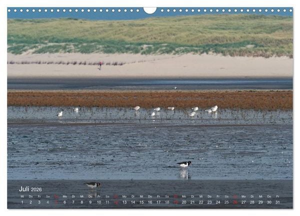 Produktbild: Texel - Meine Insel (Wandkalender 2026 DIN A3 quer), CALVENDO Monatskalender