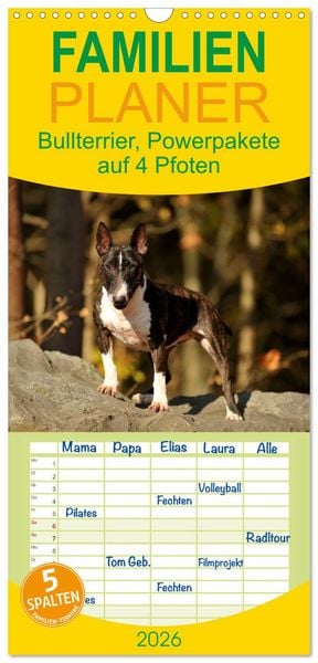 Familienplaner 2026 - Bullterrier, Powerpakete auf 4 Pfoten mit 5 Spalten (Wandkalender, 21 x 45 cm) CALVENDO