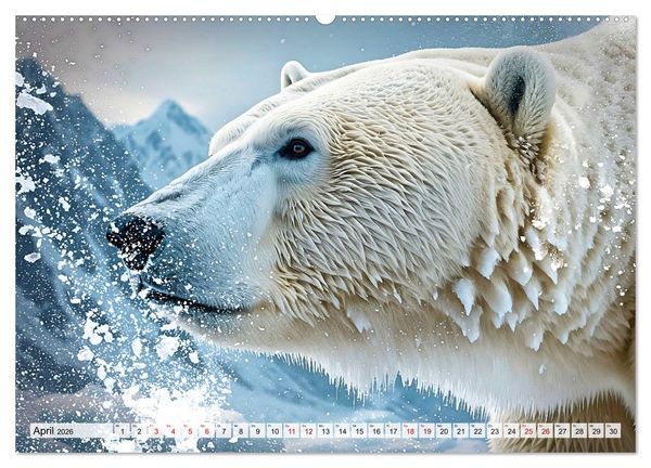 Produktbild: Im magischen Land der Eisb&auml;ren (hochwertiger Premium Wandkalender 2026 DIN A2 quer), Kunstdruck in Hochglanz