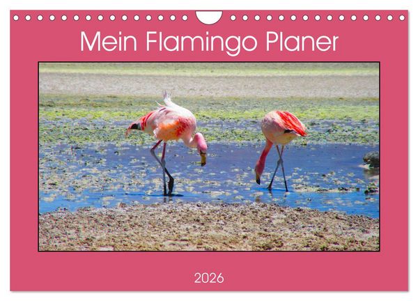Produktbild: Mein Flamingo Planer (Wandkalender 2026 DIN A4 quer), CALVENDO Monatskalender