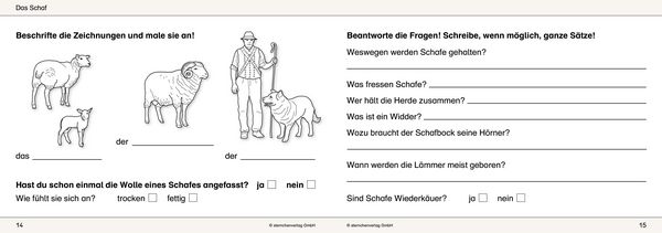 Produktbild: Ich kenne Waldtiere / Haus- und Hoftiere / Insekten und Spinnen - 3 Arbeitshefte im Set f&uuml;r die 2. bis 4. Klasse