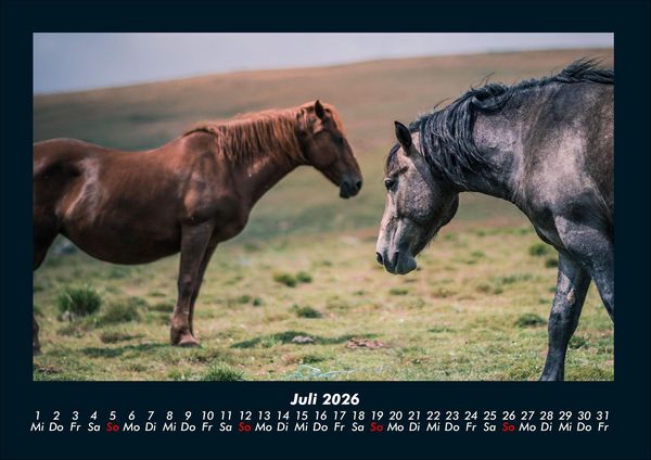 Produktbild: Die Welt der Pferde 2026 Fotokalender DIN A4